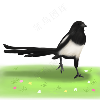 春天季节喜鹊手绘,免抠元素