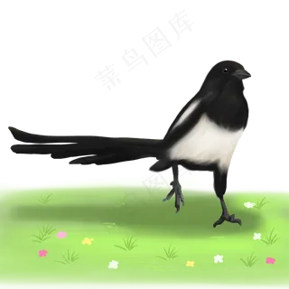 春天季节喜鹊手绘,免抠元素