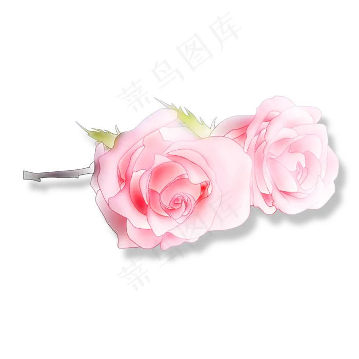 粉红玫瑰绿色叶子(4724X4724(DPI:300))psd模版下载
