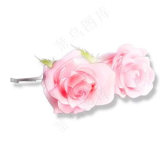 粉红玫瑰绿色叶子