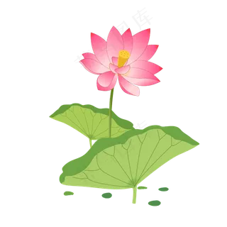 手绘卡通粉色莲花