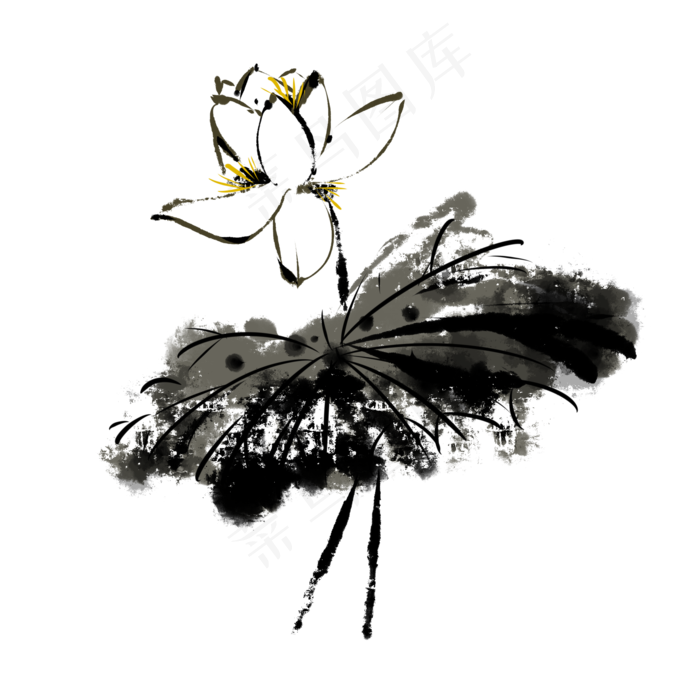 中国风水墨荷花