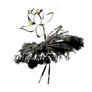 中国风水墨荷花