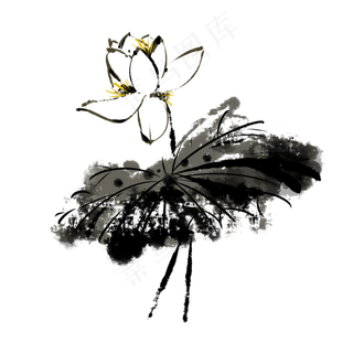 中国风水墨荷花