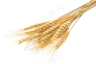 秋收收获季节,免抠元素