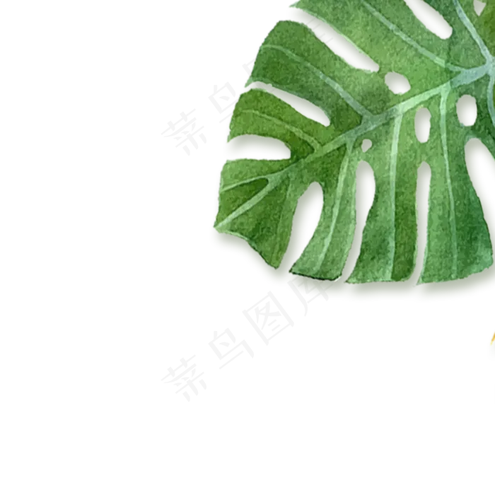 卡通春天绿叶下载(2000*2000px 300 dpi )psd模版下载