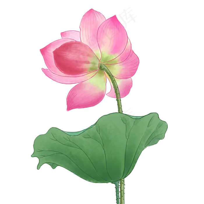 中国风荷花水彩画(2000X2000(DPI:300))psd模版下载
