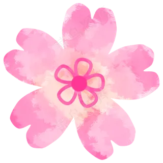 绽放粉色樱花花瓣