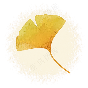 银杏叶子中国风水墨水彩PNG素材
