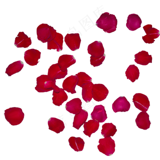 实拍红色玫瑰花瓣