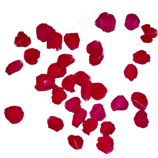 实拍红色玫瑰花瓣