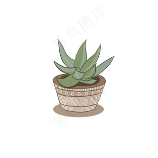 芦荟绿色植物png免抠