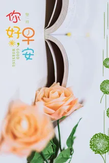 清新早安文艺鲜花读书知识 清新早安文艺鲜花读书知识