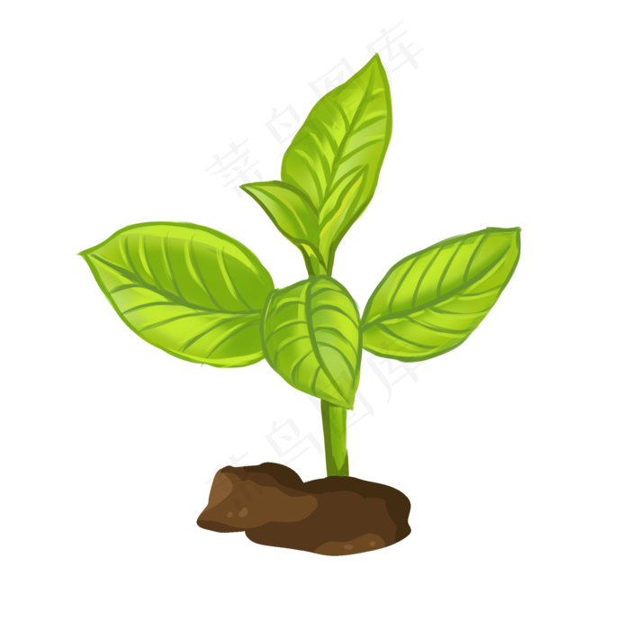春天植物发芽插画,免抠元素