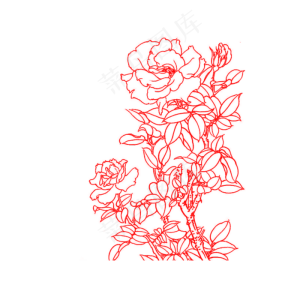 古风线条手绘蔷薇png