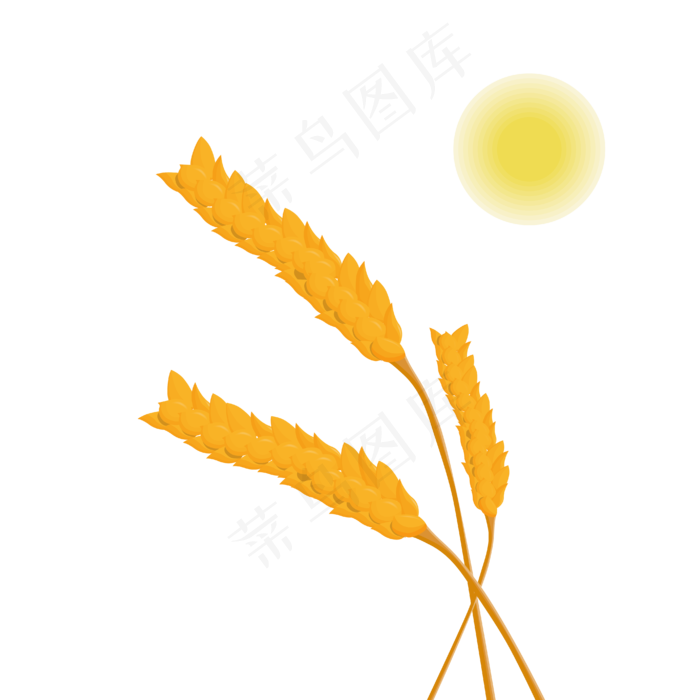 太阳黄色麦穗(2000X2000(DPI:300))ai矢量模版下载