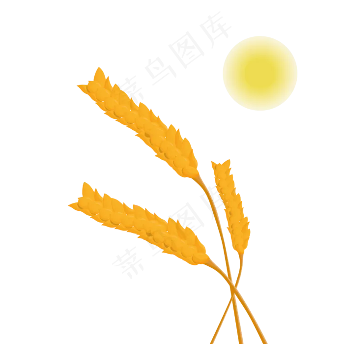 太阳黄色麦穗(2000X2000(DPI:300))ai矢量模版下载