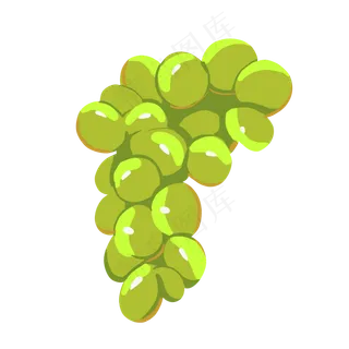 夏季水果葡萄