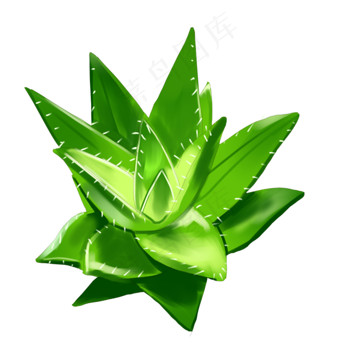 芦荟花开重叠绿色渐变多刺材质花