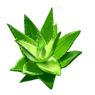 芦荟花开重叠绿色渐变多刺材质花