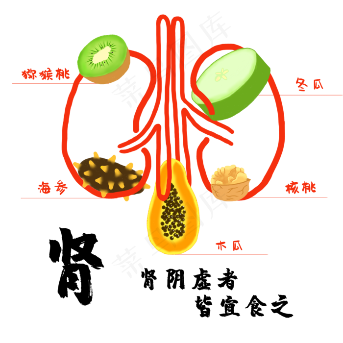 中药食疗食补补肾,免抠元素(2500*2500px 300 dpi )psd模版下载