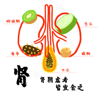 中药食疗食补补肾,免抠元素