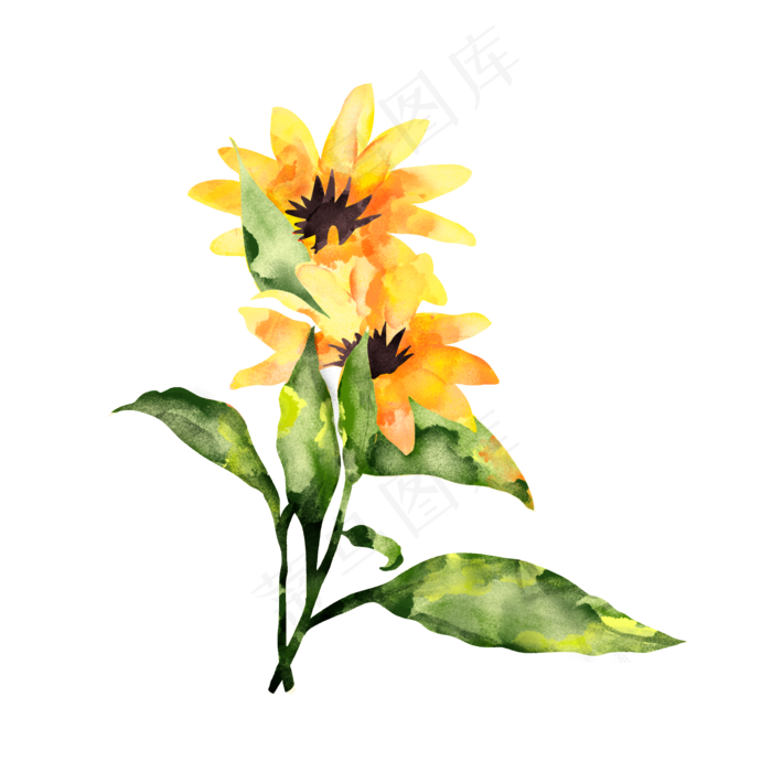 手绘水彩黄色花朵