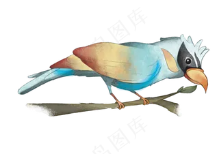水彩可爱观赏鸟类,免抠元素