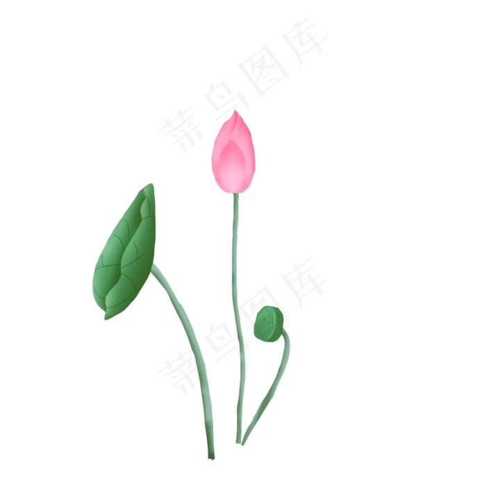 精致夏季荷花荷叶(2000X2000(DPI:300))psd模版下载