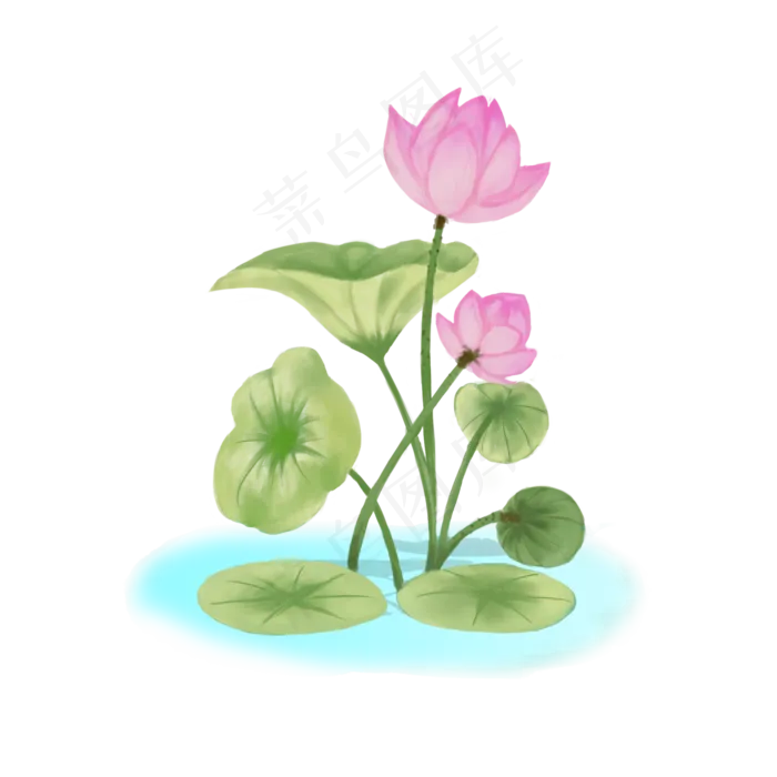 手绘荷花中国风素材(2000X2000(DPI:300))psd模版下载