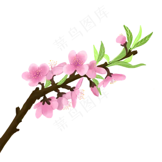 春天桃花春暖花开手绘