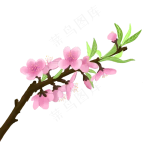 春天桃花春暖花开手绘