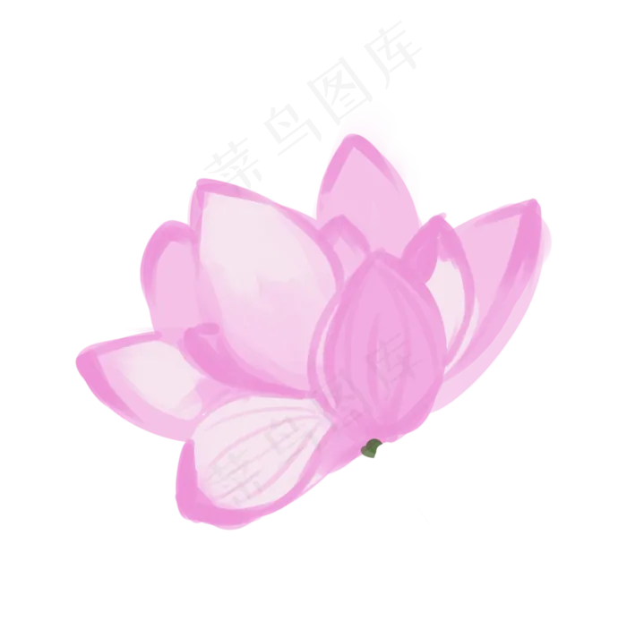 美丽的荷花(1920X1900(DPI:96))psd模版下载