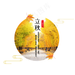 立秋二十四节气传统秋天落叶菜鸟图库原创