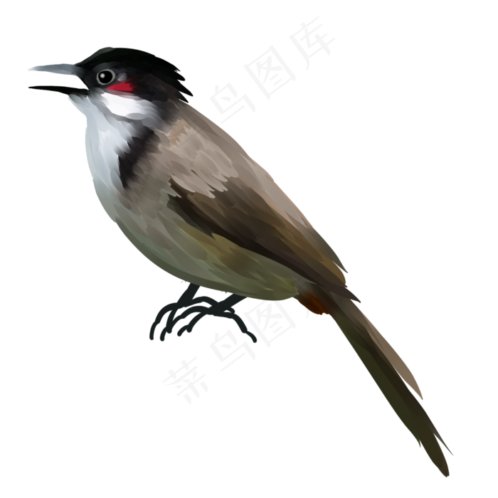手绘立体春天鸟类啄木鸟,免抠元素