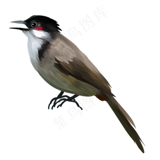 手绘立体春天鸟类啄木鸟,免抠元素