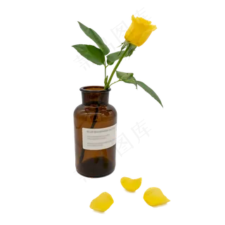 黄色玫瑰花和玻璃瓶