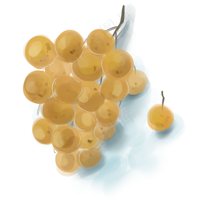 水彩一串桂圆(2000X2000(DPI:300))psd模版下载