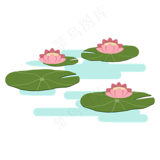 池塘上的荷叶荷花