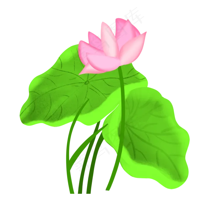 清新植物荷花(2000X2001(DPI:300))psd模版下载
