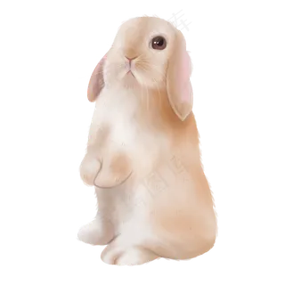 可爱动物宠物兔驼色萌,免抠元素