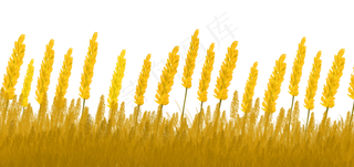 麦田稻田丰收,免抠元素