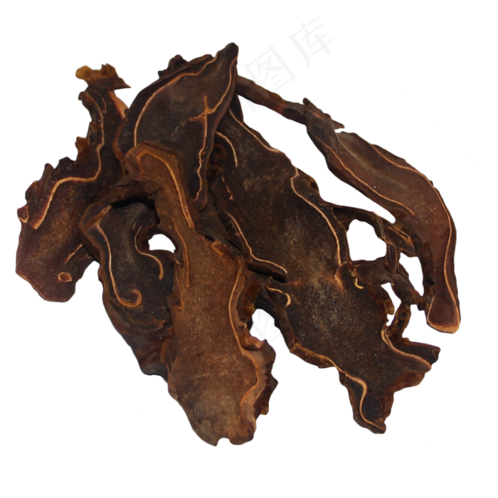 金毛狗中药药材,免抠元素