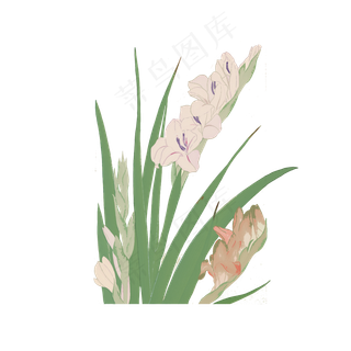 中国工笔粉色香槟色清新花鸟水墨,免抠元素