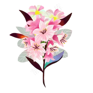 精美鲜艳花束 精美鲜艳花束