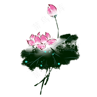 中国风水墨荷花