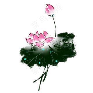 中国风水墨荷花