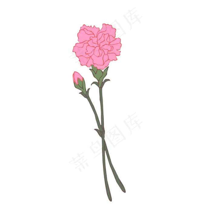 手绘母亲节康乃馨花朵花苞免抠素(2000X2000(DPI:72))ai矢量模版下载
