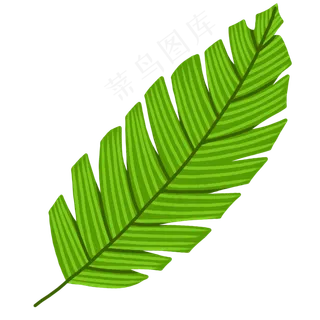 绿色棕榈叶