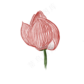 未开的荷花免抠创意插图